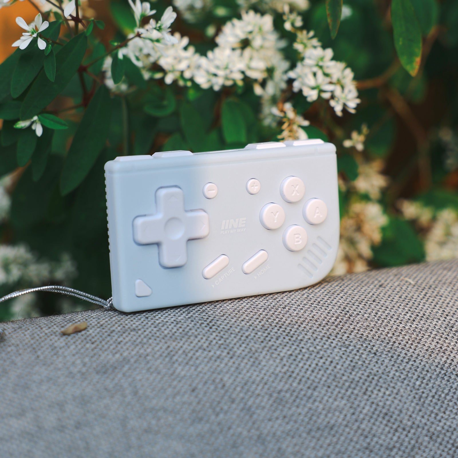 IINE Mini Ananke Gen2 Controller-Baby Blue/Mint Chocolate Green