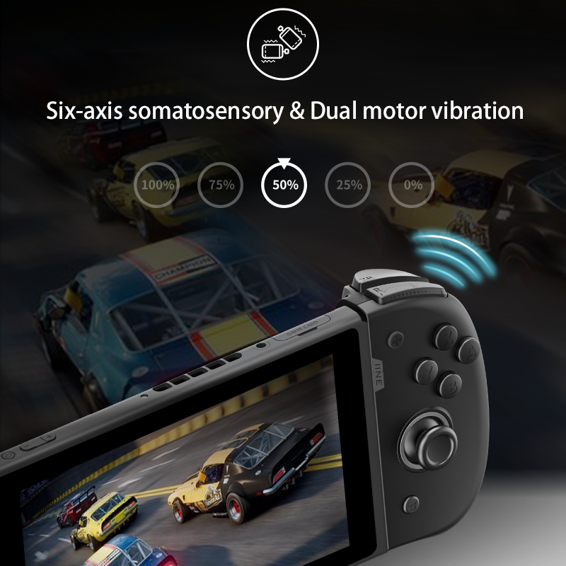 IINE Nintendo Switch Elite Joypad