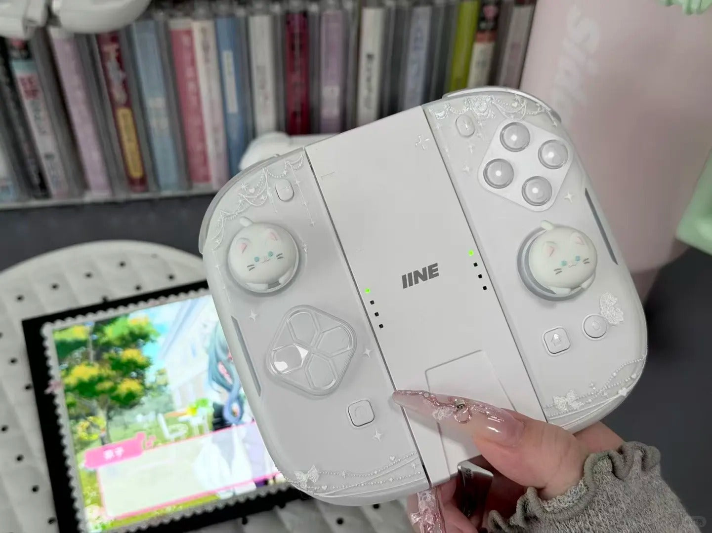 IINE themed controller shared by a player