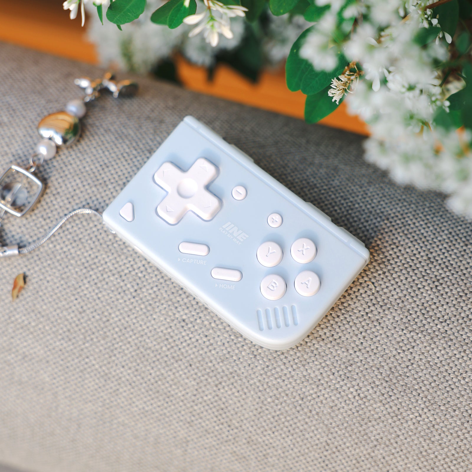 IINE Mini Ananke Gen2 Controller-Baby Blue/Mint Chocolate Green