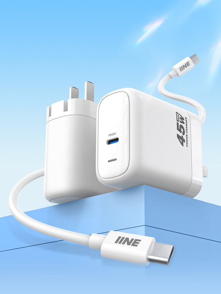 IINE 45W CHARGER FOR SWITCH