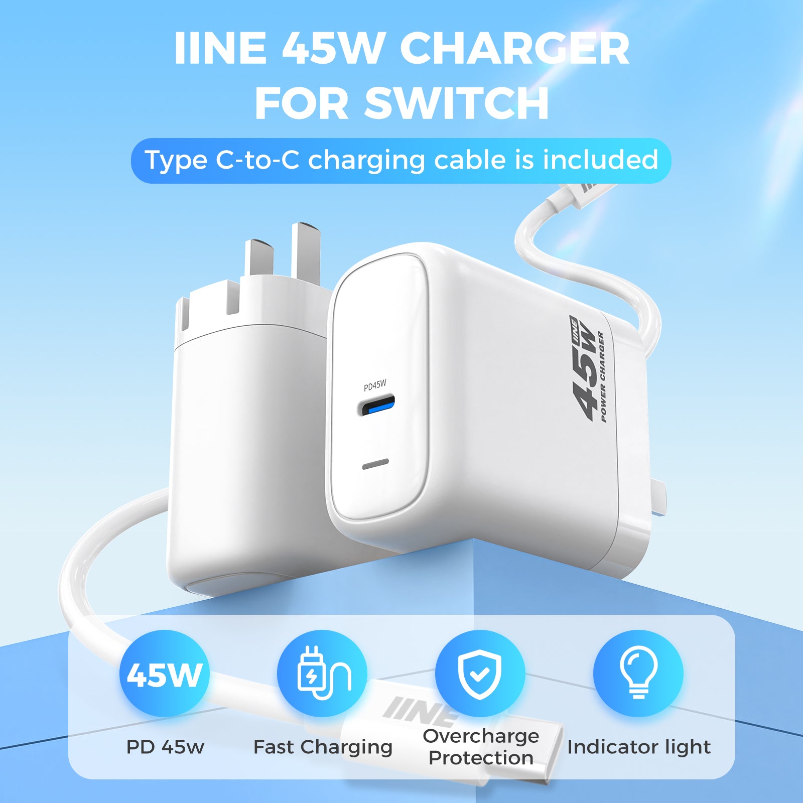 IINE 45W CHARGER FOR SWITCH