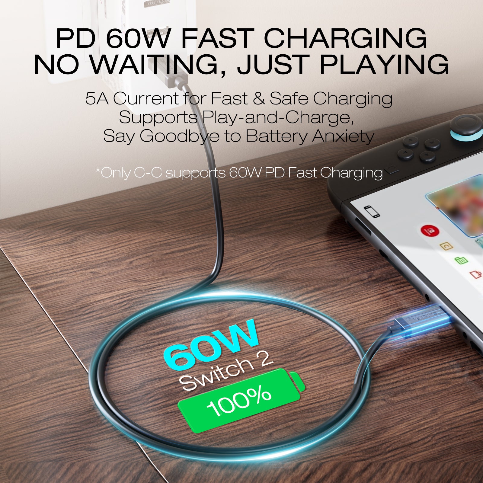 IINE PD 60W Fast Charging Cable for Switch 2