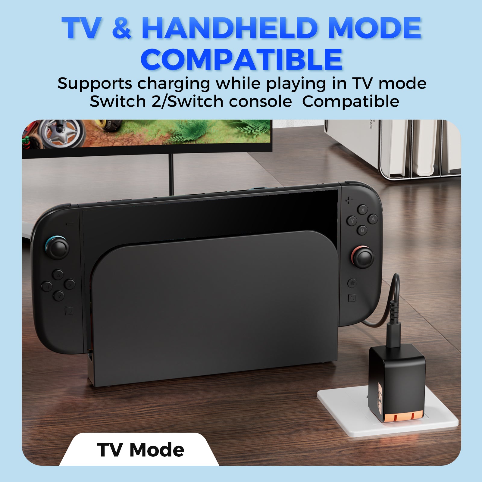 IINE 65W GaN Fast Charger for Switch2